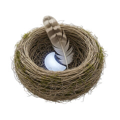 Delicate bird nest with feather and egg on transparent background
