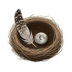 Serene bird's nest with feather and crescent moon