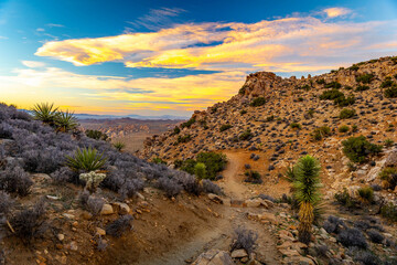 Obraz premium Mountain range view from Ryan Mountain Trail