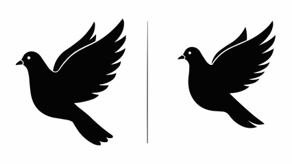 Fototapeta premium silhouette of dove