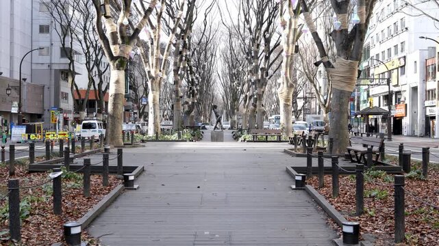 冬の仙台・定禅寺通り、ケヤキ並木に佇む彫刻と街並み