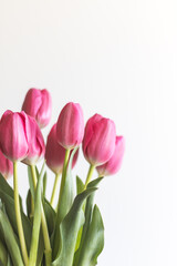 Fototapeta premium Pink tulips bouquet isolated on white background with minimal floral composition