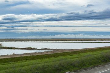 Truck driver views fields and water bodies while traveling through Elverta, California in the trucking industry during a long haul route