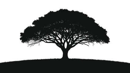 Silhouette of a large spreading oak tree on a gentle grassy hill represents nature, landscape, and tranquility in a black and white style.