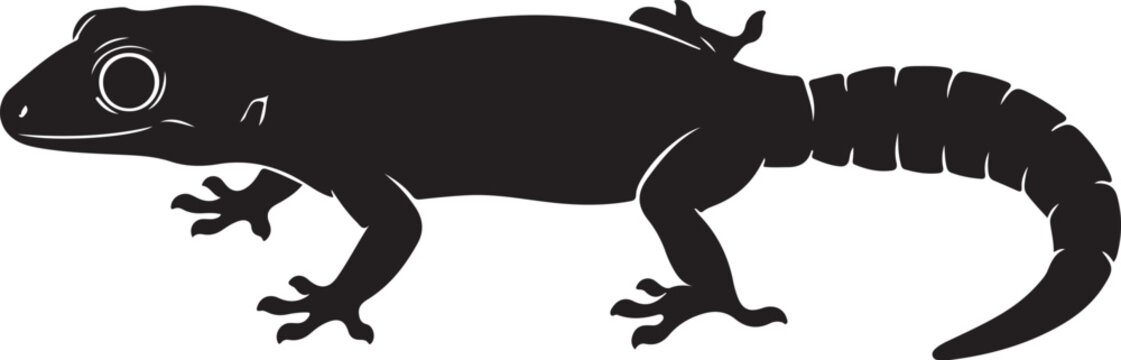 African Fat-Tailed Gecko Silhouette on White