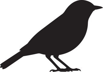 Obraz premium Warbler Silhouette on White Background