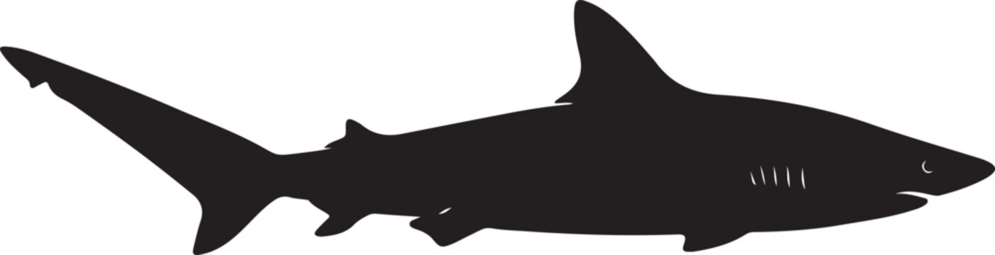 Thresher Shark Silhouette on White Background