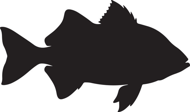 Bonefish Silhouette on White Background