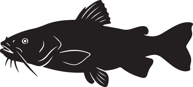Bullhead Catfish Silhouette on White Background