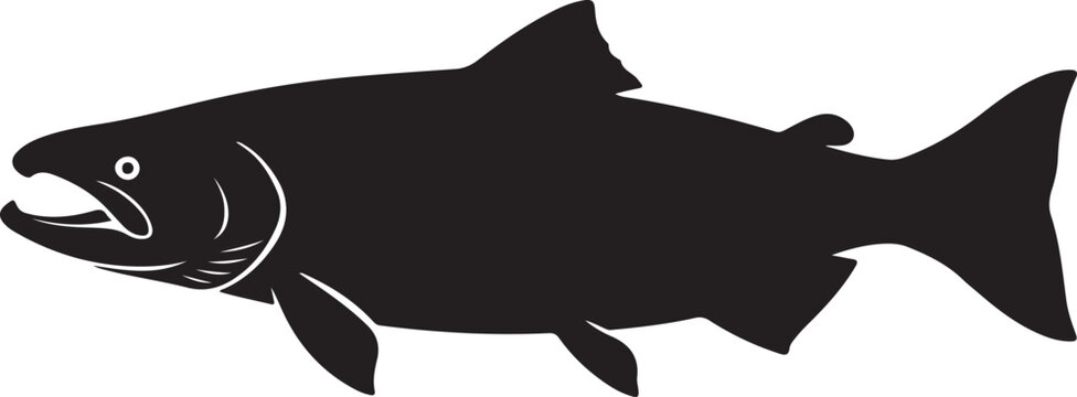 Chinook Salmon Silhouette on White Background