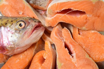 A close-up of sliced ​​raw rainbow trout. The fish pieces are ready for cooking
