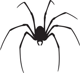 Daddy Longlegs Silhouette on White Background