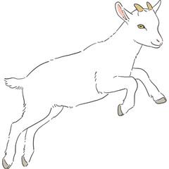 かわいい白いヤギの手書きイラスト