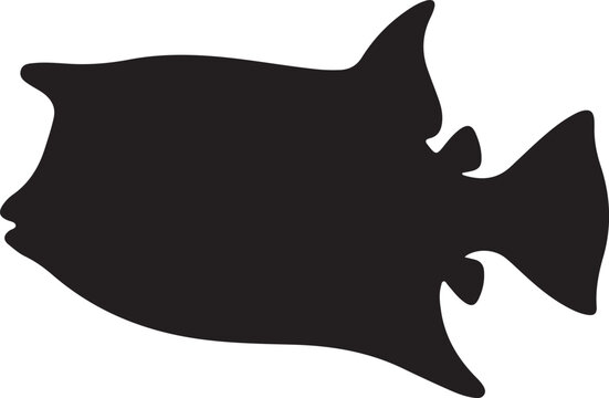 Cowfish Silhouette on White Background