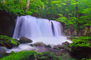 青森県十和田市、新緑の奥入瀬渓谷の銚子大滝
