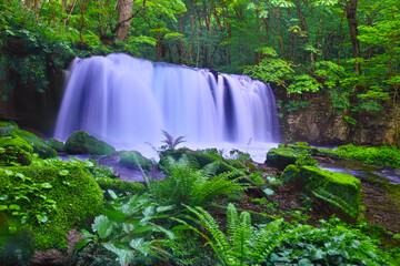 青森県十和田市、新緑の奥入瀬渓谷の銚子大滝
