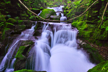 青森県十和田市、新緑の奥入瀬渓谷の寒沢の流れ
