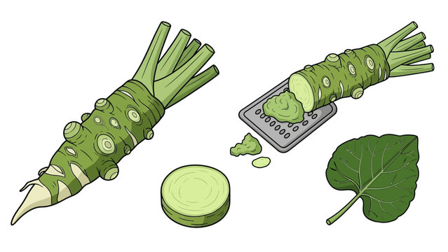 Illustration of wasabi root being grated with a microplane, showcasing fresh wasabi, kitchen tool, and leaf