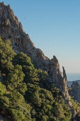 Fototapeta premium Détail de falaise dans la gorge de Platania, Crète
