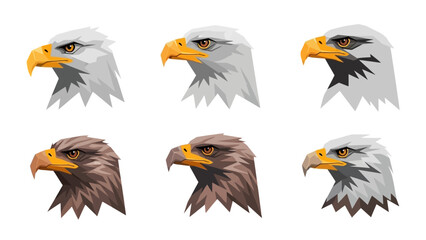 Fototapeta premium Eagle Head Collection: Diverse Avian Portraits