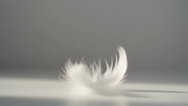 Close-up shot of a single white feather falling gracefully against a soft neutral background emphasizing delicate lightness movement and gentle natural texture