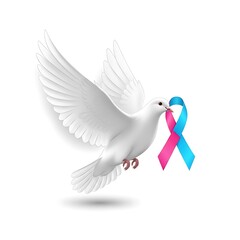Obraz premium Dove Carrying Pink and Blue Ribbon - Symbol of Pregnancy and Infant Loss Awareness.