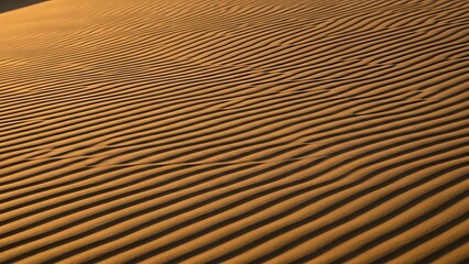 Close-up view of undulating desert sand dunes, where wind creates beautiful rhythmic lines and textures under the warm glow of the sun