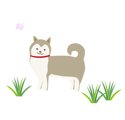 かわいいデフォルメ柴犬のイラスト素材