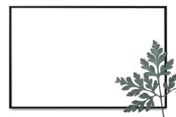 Fototapeta premium Png frame with fern leaf