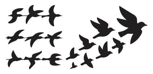 Birds in formation flying, migration and travel theme © MDIKRAM