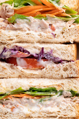 Sandwich tuna mayonnaise with whole wheat bread, lettuce, carrot, tomato and purple cabbage texture background