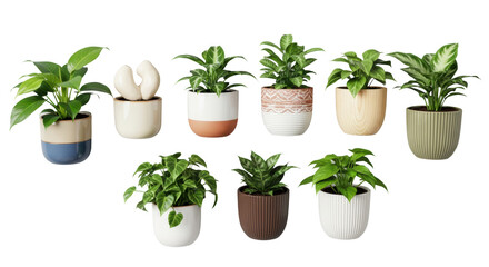 Ultra-realistic, top-down studio photo of eight lush green houseplants in diverse pots, neat horizontal row on a transparent background. Concept for home decor advertising