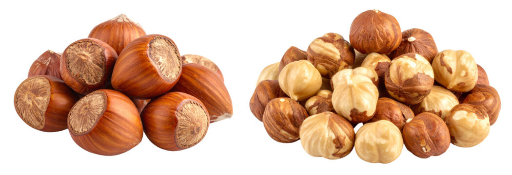 group of pile of peeled and unpeeled hazelnut isolated on white background