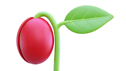 3D Render of a Red Seed Sprouting a Green Leaf