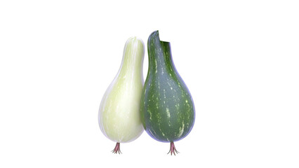 Two ornamental gourds, one light green and one dark green with speckles