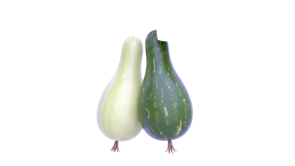 Two ornamental gourds, one light green and one dark green with speckles