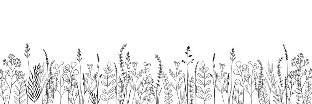Hand drawn Wild Flowers Line Art Botanical Illustrations Border. Vector Minimalism