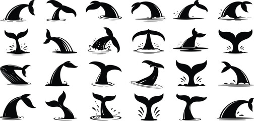 Whale tail and jumping whale silhouettes set showing ocean marine life splashes, dolphin and whale fins, wildlife sea animal icons illustration isolated on white background © Hasem Creative