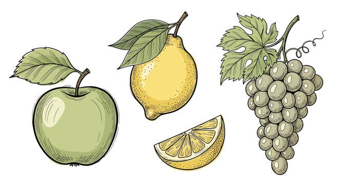 Hand-drawn vibrant fruit assortment: Apple, lemon, lemon slice and grapes illustration