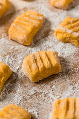 Fototapeta premium Homemade Raw Pumpkin Gnocchi Pasta