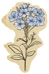 Blue flower illustration png sticker, ripped paper, transparent background