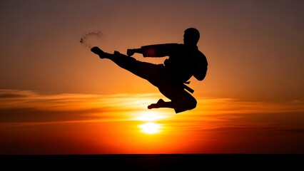 A silhouette of a martial artist performing a high jump kick against a vibrant sunset sky