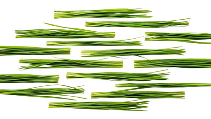 Obraz premium Vibrant Fresh Green Chives Bundles Arranged on a Stark Black Background