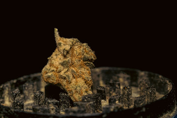 Fototapeta premium Studio close-up of medical cannabis flower and preparation details, including texture and plant material processing, presented in controlled lighting for healthcare, research, and alternative medicine