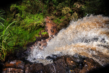 A powerful waterfall cascades down a rocky cliff, surrounded by the lush, vibrant green foliage of a dense tropical forest. A beautiful and wild natural scene of pure, flowing water in motion. © AlfRibeiro