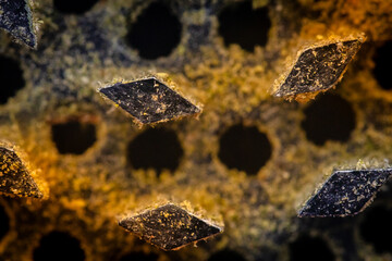 Studio close-up of medical cannabis flower and preparation details, including texture and plant material processing, presented in controlled lighting for healthcare, research, and alternative medicine