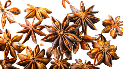 A close-up view of star anise pods arranged on a dark background
