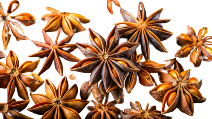 A close-up view of star anise pods arranged on a dark background