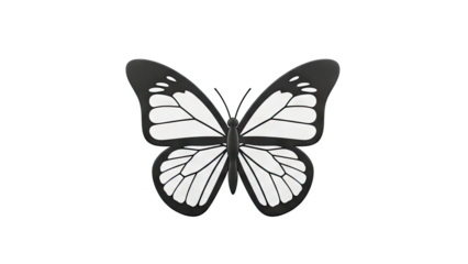 Black and White Butterfly Illustration