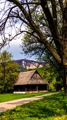 A rustic, wooden cabin sits along a path, framed by a large tree. Mountains and a cloudy sky complete the scenic countryside view